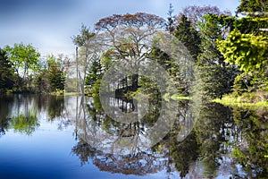 Maine Nature landscape water reflection new england