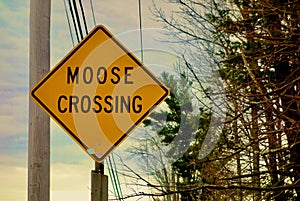 Maine sign moose crossing