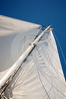 Mainsail on board of a catamaran photo