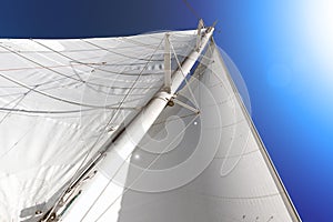 Mainsail on board of a catamaran photo