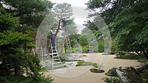 Maintaining Adachi Museum Garden in Japan