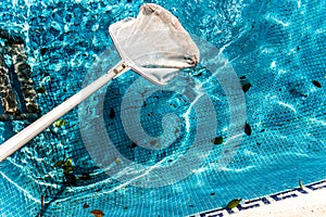 Maintenance man using a pool net leaf skimmer rake in summer to leave ready for bathing his pool