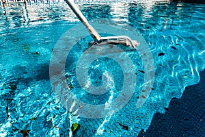 Maintenance man using a pool net leaf skimmer rake in summer to leave ready for bathing his pool