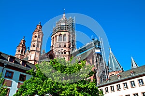 Mainz Cathedral with tree