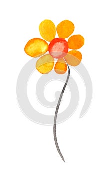 Maio laranja symbol. Yellow flower photo
