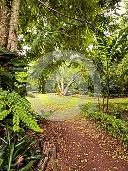 Maire Nui Gardens, Rarotonga