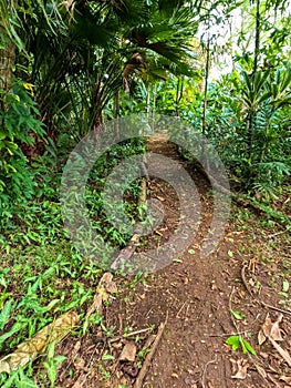 Maire Nui Gardens, Rarotonga