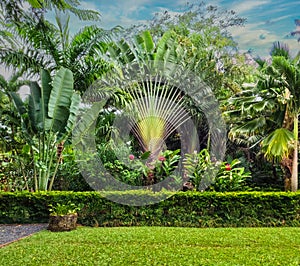 Maire Nui Gardens, Rarotonga