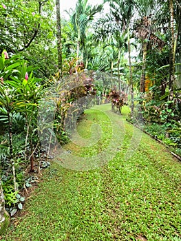 Maire Nui Gardens, Rarotonga