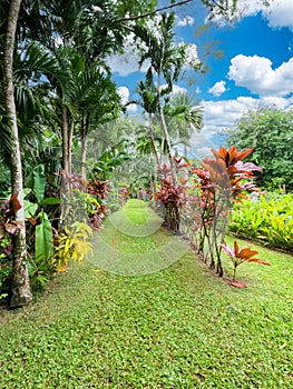 Maire Nui Gardens, Rarotonga