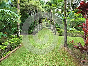 Maire Nui Gardens, Rarotonga