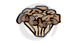 maitake mushroom color icon animation