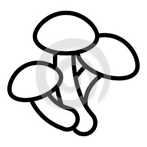 Maitake mushroom icon outline vector. Food truffle