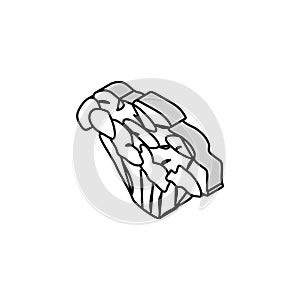 maitake mushroom isometric icon vector illustration