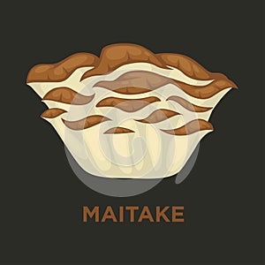 Maitake signorina edible mushroom flat vector icon