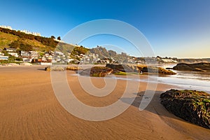 Maitencillo in the coast of central Chile