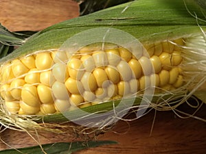 Corn yellow grain maize kitchen photo