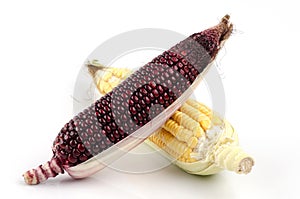 Maiz morado and corn grains are beneficial to the body.