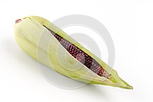 Maiz morado on a white background. (flour corn, Zea mays amylacea). photo