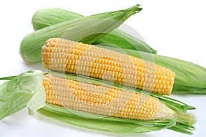 Maize