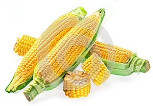 Maize cobs or corn cobs isolated on white background