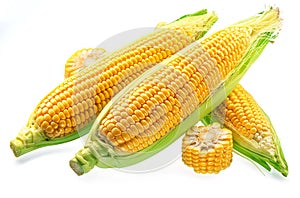 Maize cobs or corn cobs isolated on white background