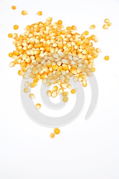 Maize corn