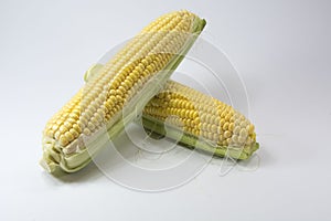 Maize, corn