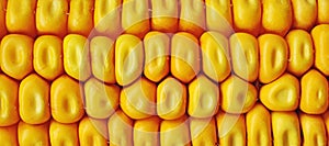 Maize corn ceral