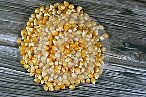 Maize or corn seeds and grains, pile of maize kernels that is used for popcorn and many other meals, The yellow maizes derive photo