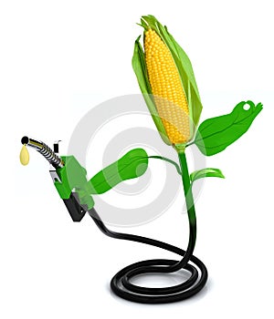 Maize and fuel pump