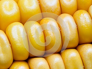 Maize kernels in regular rows in the mature ear with husks. Detail