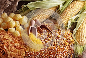 Maize products