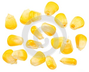 Maize seeds or corn seeds flying on white background