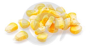 Maize seeds or corn seeds isolated on white background