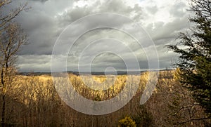 Majecstic view of mountain range and trees in the foregroudn with storm clouds in the background