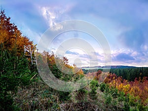 Majestic autumn forest with a deer-stand