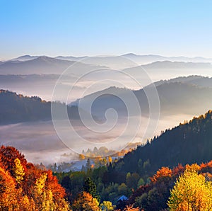 Majestic autumn rural scenery. Landscape with beautiful mountains, fields and forests covered with morning fog. There are trees on