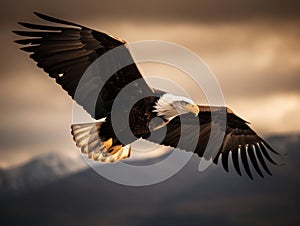 Majestic bald eagle soaring through the sky  created with Generative AI