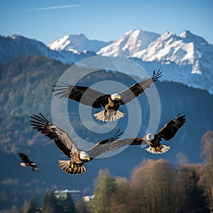 Majestic Bald Eagles Soaring in V-Formation against Clear Blue Sky