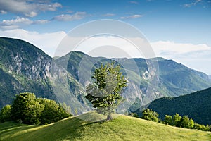 Majestic beautiful mountain landscape scenery in Valea Cernei Romania photo