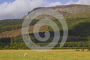 The majestic Binevenagh mountain summit near Limavady in County Londonderry on the North Coast of Northern Ireland