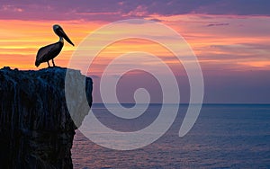 A majestic brown pelican silhouetted against a fiery orange sunset, perched on a rocky cliff overlooking a vast ocean.