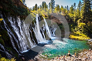 Majestic Burney Falls, Shasta-Trinity National Forest, California