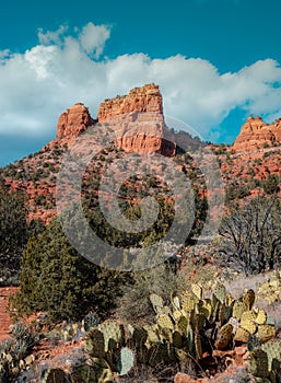 Majestic Cathedral Rock, Sedona Arizona,USA