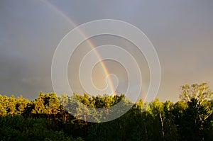 Majestic double rainbow over the forest in a stormy sky