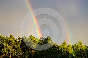 Majestic double rainbow over the forest in a stormy sky