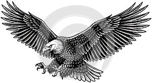 Majestic eagle in aggressive attack posture