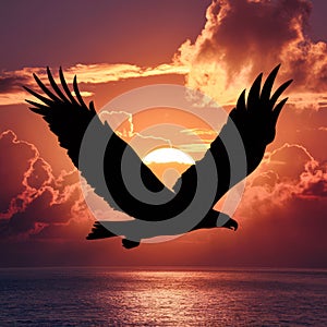 Majestic Eagle Silhouette Soaring Over Ocean at Vibrant Sunset