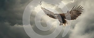 The majestic eagle soaring through the dramatic overcast sky. AI generated image